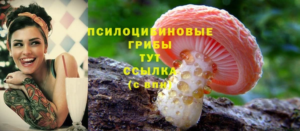 хмурый Балахна