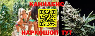 стафф Ижевск