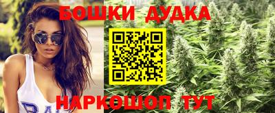 стафф Ижевск
