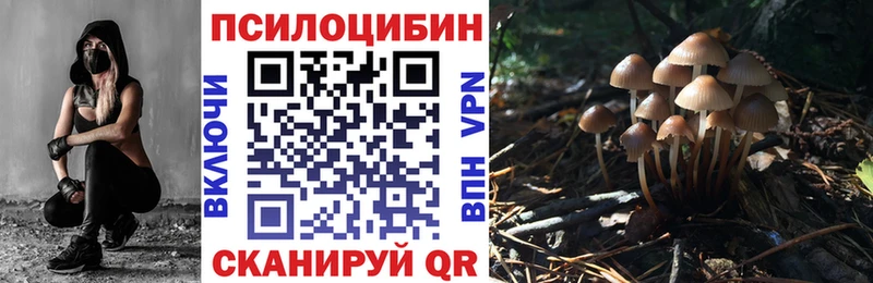 Галлюциногенные грибы Magic Shrooms Заречный