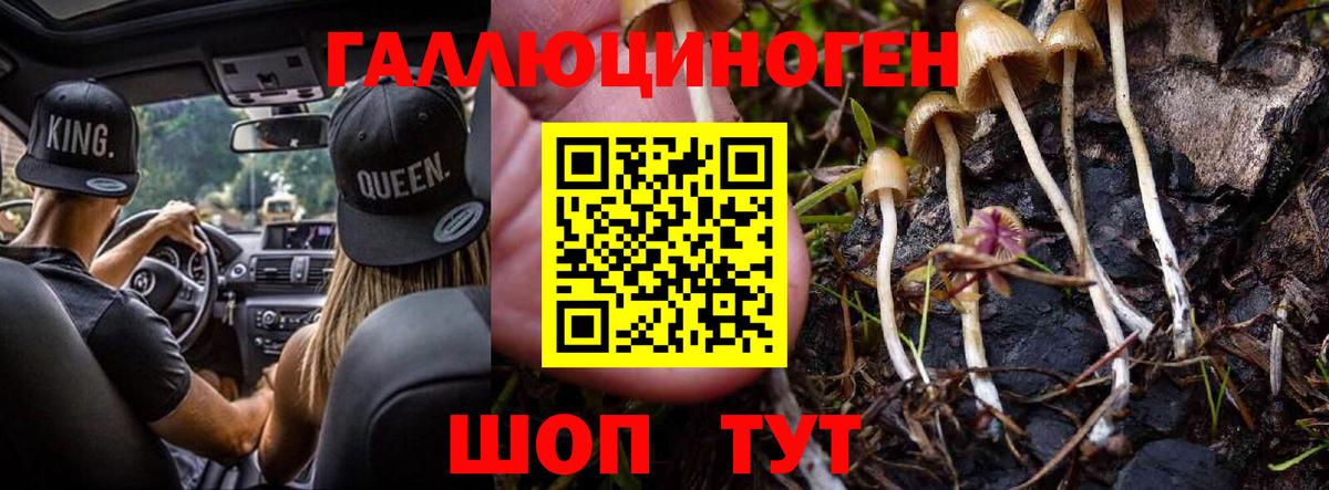 Галлюциногенные грибы прущие грибы Заречный